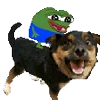 🐶