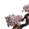 🪷
