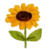 🌻