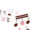 📼