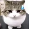 😅