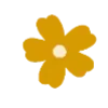 🌼