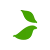 🍃