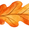 🍁