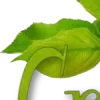 🍏