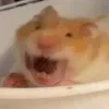 😱