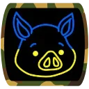 🐽