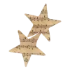 🌟