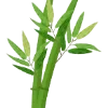 🎋