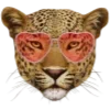 🐆