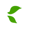 🍃