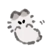 🐱
