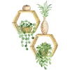 🪴