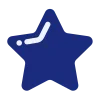 🌟