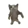 😺