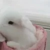 🤩