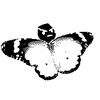 King's Flowers (Deltarune) — эмодзи пак Telegram