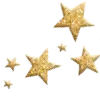 ✨