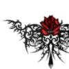 🌹