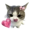 🐱