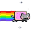 🐈