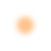 🟠