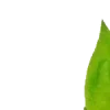 🍏