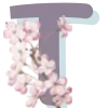 🔤