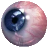 👁