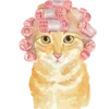 🐱