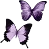 💜
