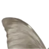 🦋