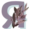 🔤