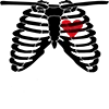 🫁