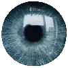 👁