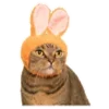 😹