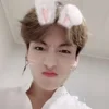 🐰