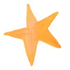 ⭐️