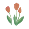 🌷