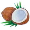 🥥