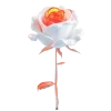 🌹