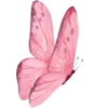 🦋