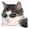😹