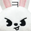 🐰