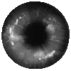 👁