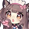 😽