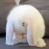 😢