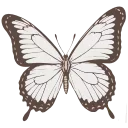 🦋