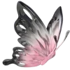 🦋
