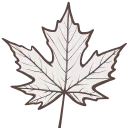 🍁